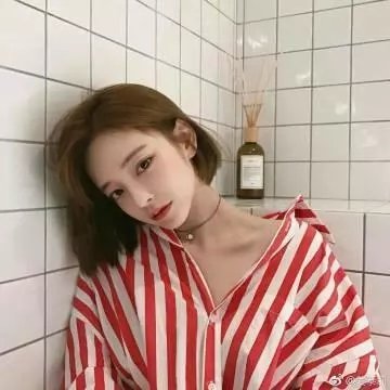 屈伏塔与我